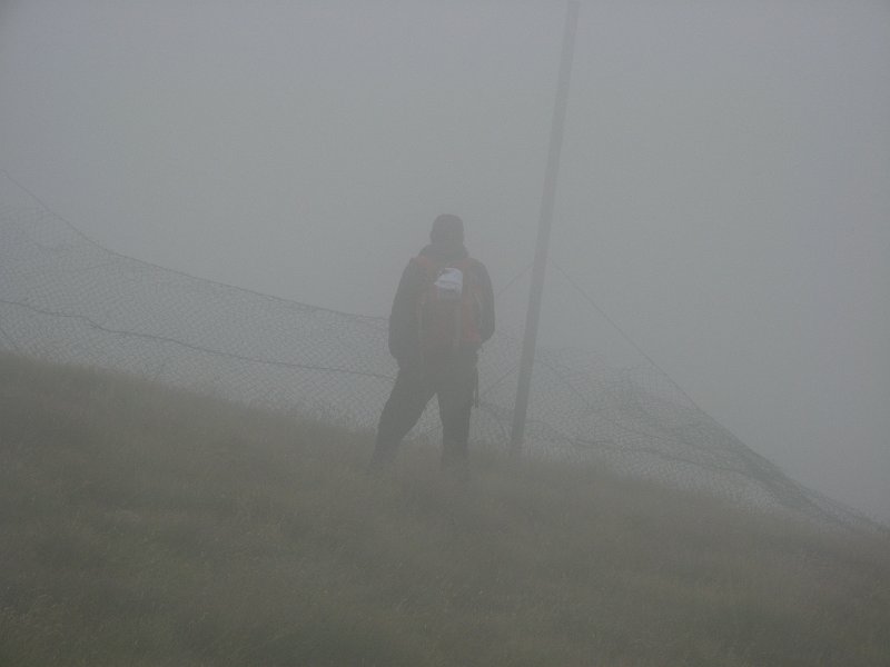 IMG 0039