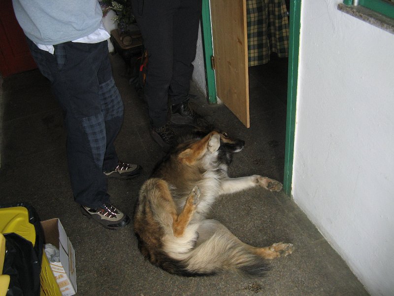IMG 0040