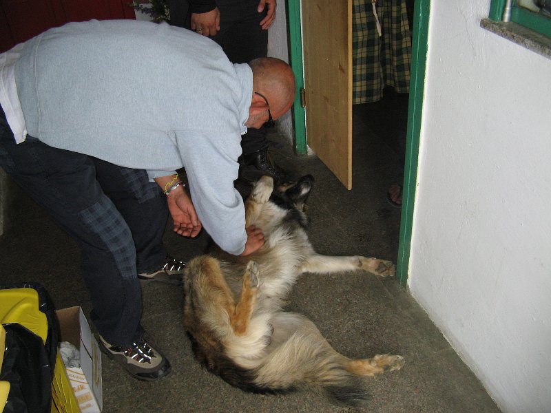 IMG 0041