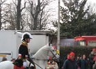 IMG 0006