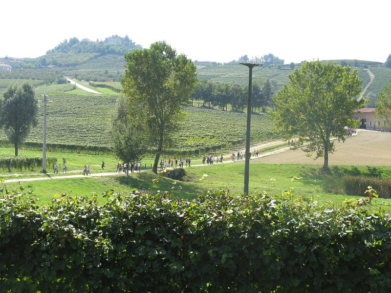 IMG 0094