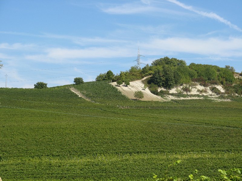 IMG 0145