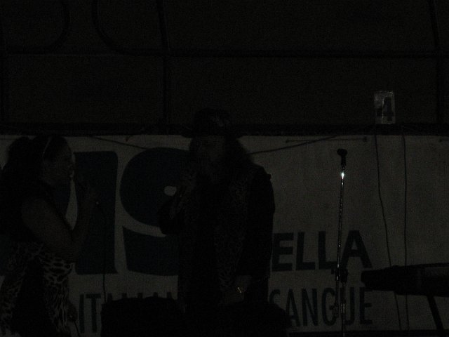 IMG 0004